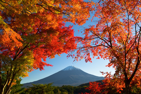 富士山