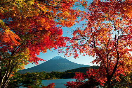 富士山