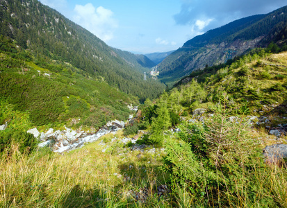 夏季山景罗马尼亚