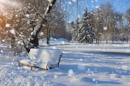 在积雪覆盖的公园长椅