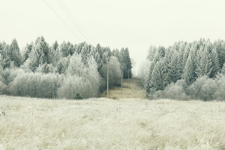 雪林