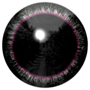 与紫的虹膜，眼灯泡到详细信息视图的动物眼睛。外星怪的眼睛