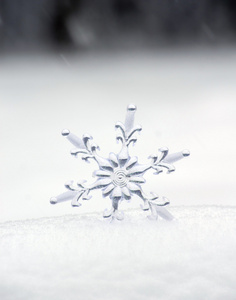 雪花在一个白色的雪