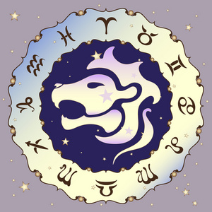 狮子座的星座,矢量图矢量星座狮子座生肖矢量标志占星线图标线性标志