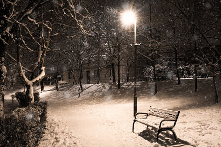 公园的一次降雪