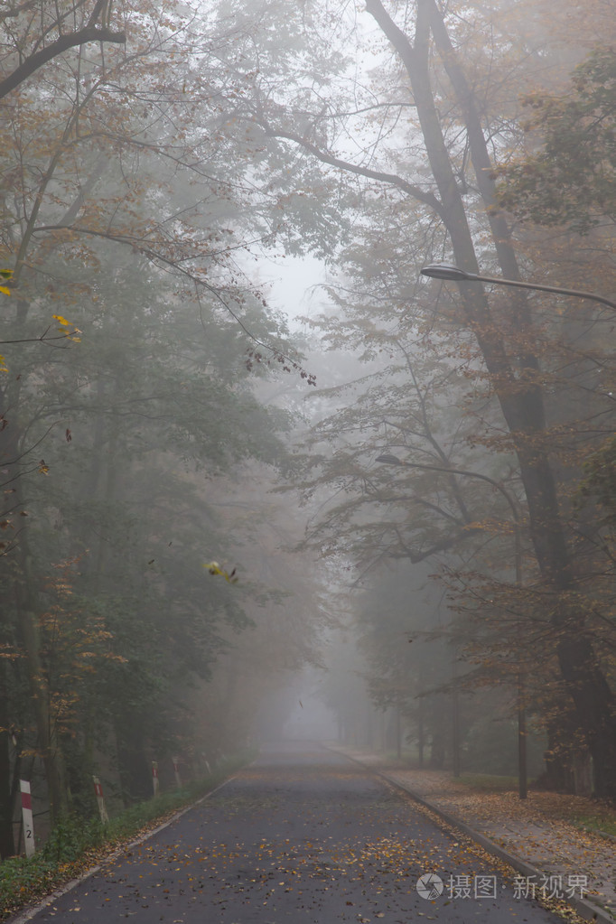 有雾的公园