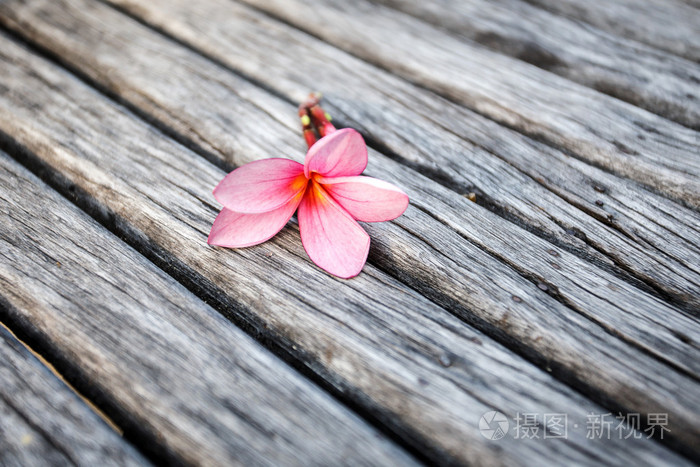在木材上花照片-正版商用图片1hp3fi-摄图新视界