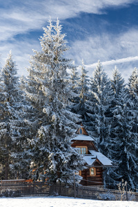 在白雪皑皑的森林小屋