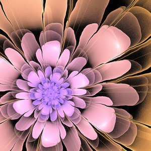 多色的三维分形抽象对称花