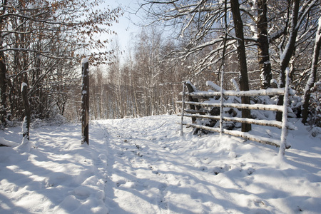 雪域景观