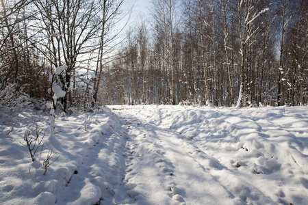 雪域景观