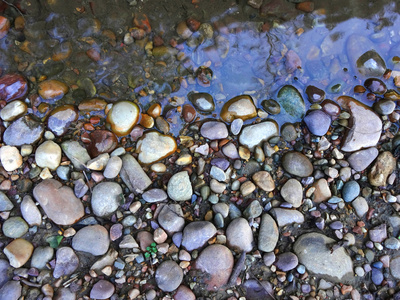 在水中的石头