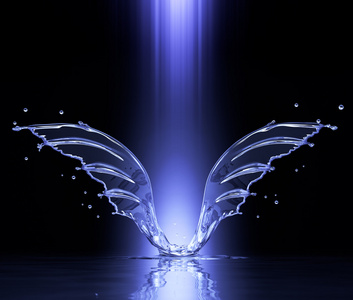 清除的翅膀图片