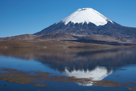 parinacota 火山