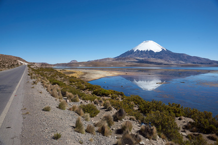 parinacota 