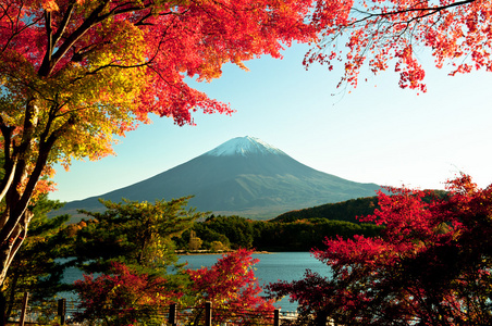 富士山