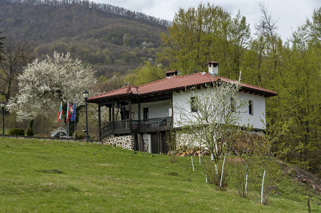 巴尔干山和修道院 Svety 特奥