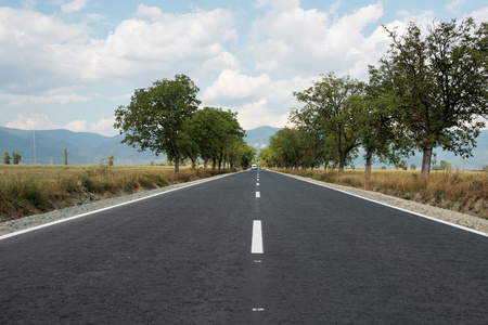 道路