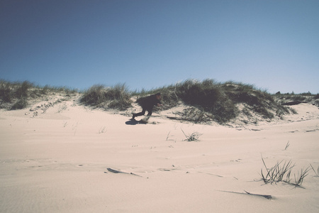 人漫步在沙丘上的海复古, 复古