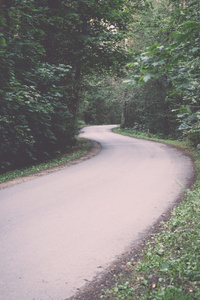 略亮的道路在森林复古, 复古