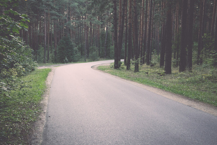 略亮的道路在森林复古, 复古