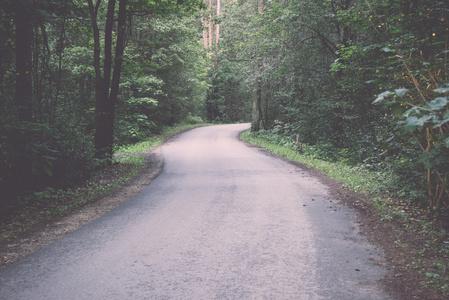 略亮的道路在森林复古, 复古