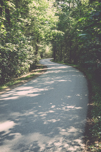 略亮的道路在森林复古, 复古