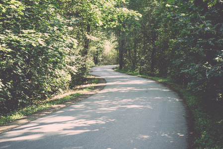 略亮的道路在森林复古, 复古