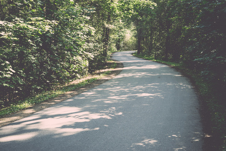 略亮的道路在森林复古, 复古