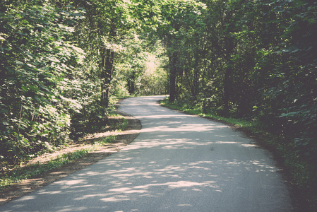 略亮的道路在森林复古, 复古