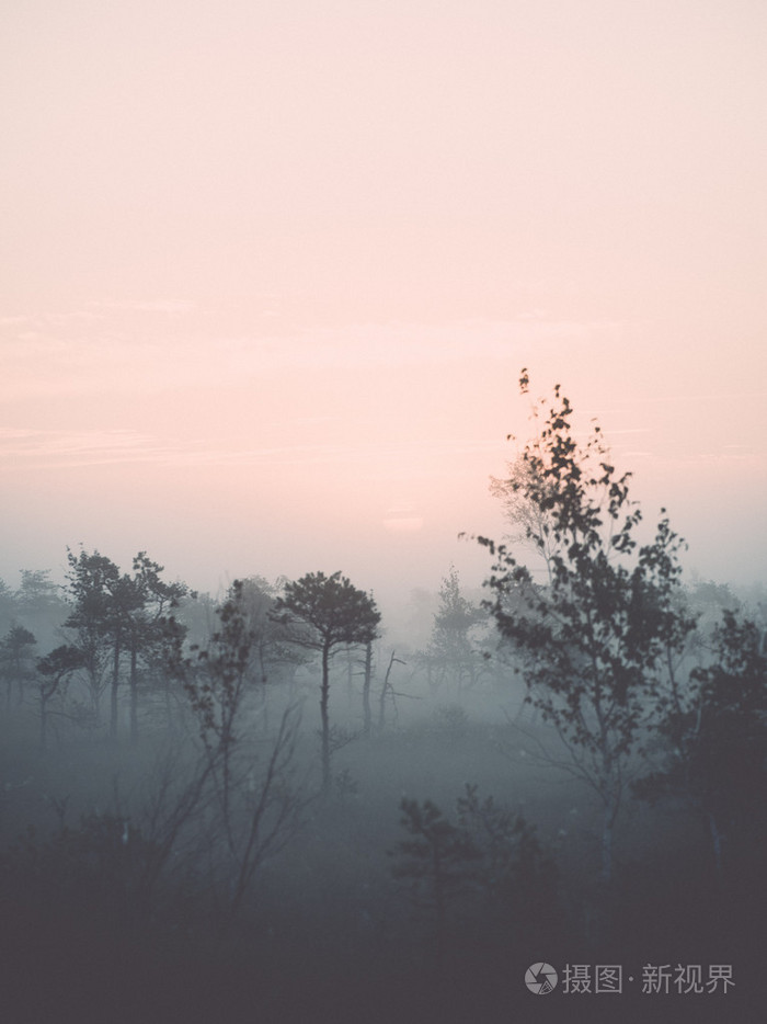 美丽宁静的风景中的朦胧的沼泽湖复古vintag