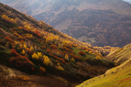 与多彩森林山秋天风景