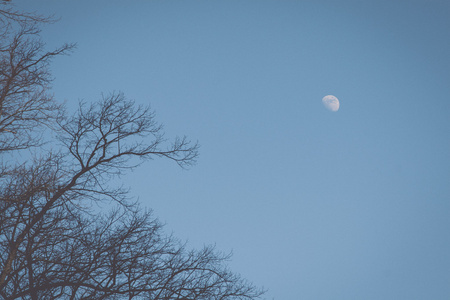 月亮在蓝天复古, 复古