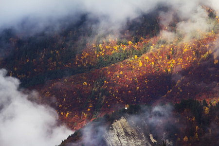 与多彩森林山秋天风景