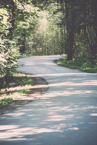 略亮的道路在森林复古, 复古