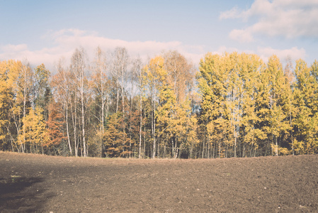 秋天的彩色的农村景观复古复古