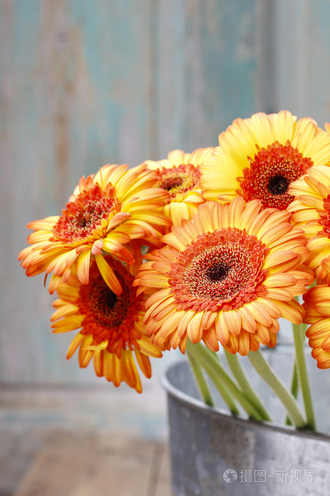 橙色非洲菊雏菊在银桶的花束