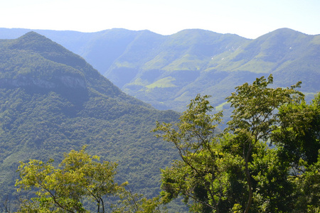 在巴西山