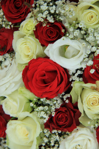 新娘的花束中的红 白玫瑰