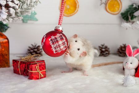 圣诞装饰品背景装饰可爱鼠