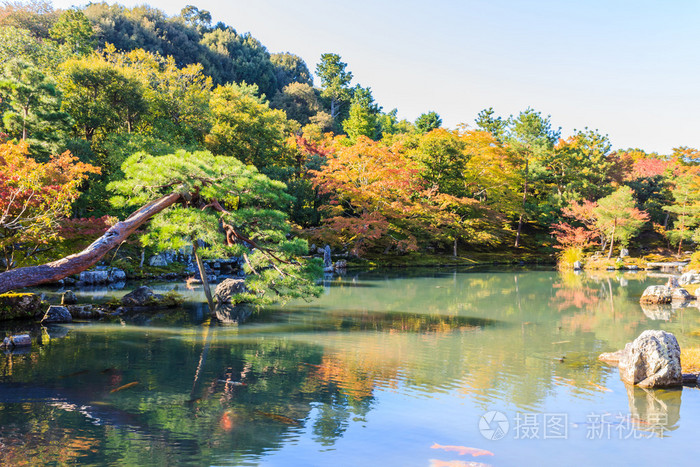 Tenryuji Sogenchi 池塘花园，京都日本