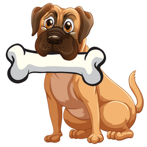 一只狗一根骨头照片