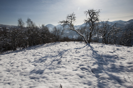 冬山风景