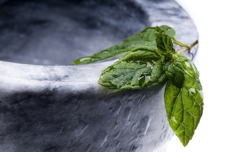 湿用露水选择性焦点一片薄荷叶图片