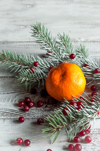 蔓越莓 橘 圣诞树树枝上木制的选项卡