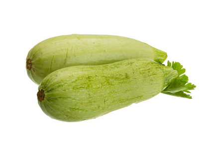 成熟的年轻小 Zuchini