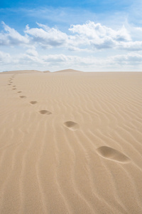 脚打印在维亚纳沙漠Deserto 德维亚纳在沙丘