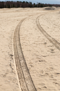 汽车轮胎跟踪上海滩沙子