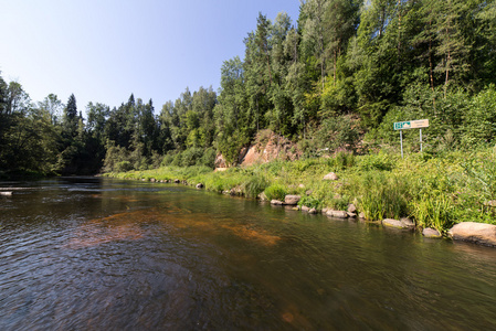 山区河流被森林包围的夏天