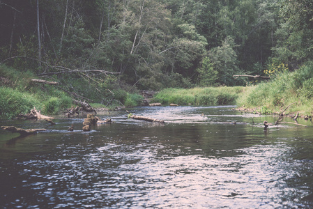 夏季山区河流环绕森林复古复古